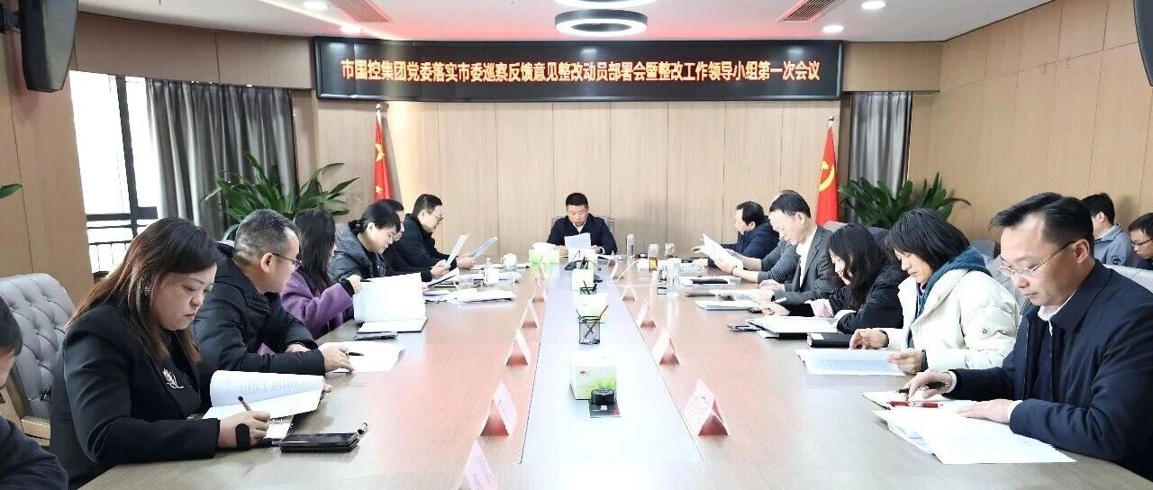市国控集团党委召开落实市委巡察反馈意见整改动员部署会暨整改工作领导小组第一次会议