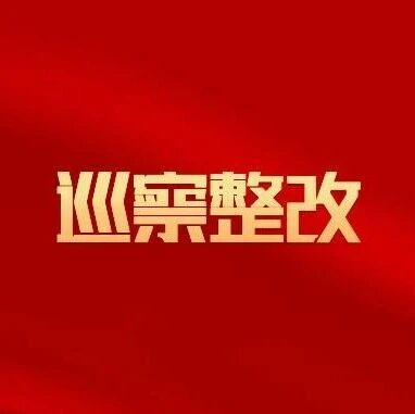 中共九江市国有投资控股集团有限公司委员会关于巡察整改进展情况的通报